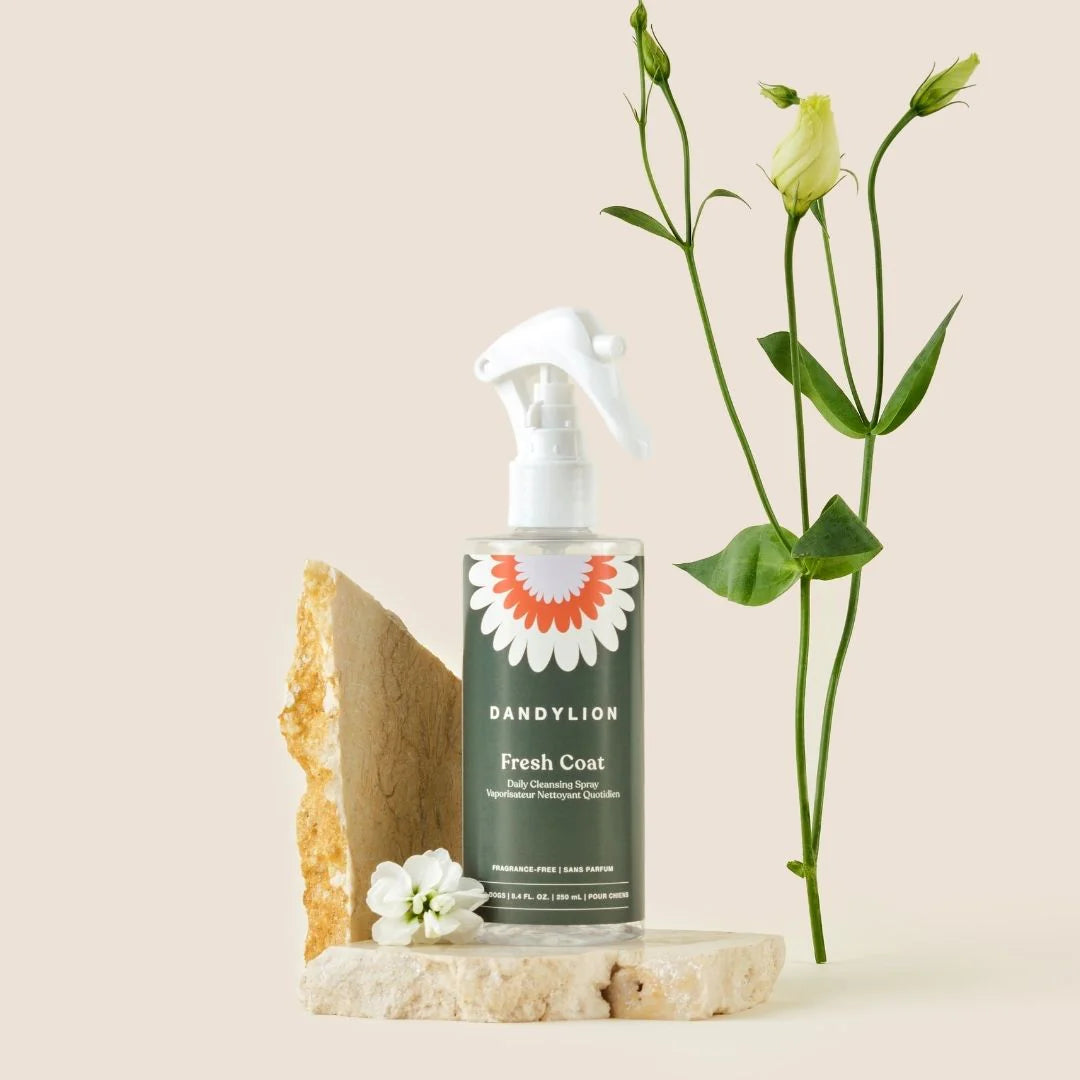 Dandylion - Fresh Coat Spray 250ml