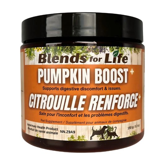 Blends for Life - Pumpkin Boost 150g